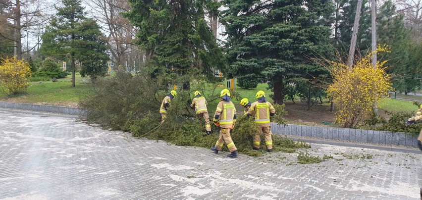 Wichura w powiecie krakowskim. Połamane drzewa, zablokowane drogi. Samochód uderzył w drzewo powalone na jezdnię