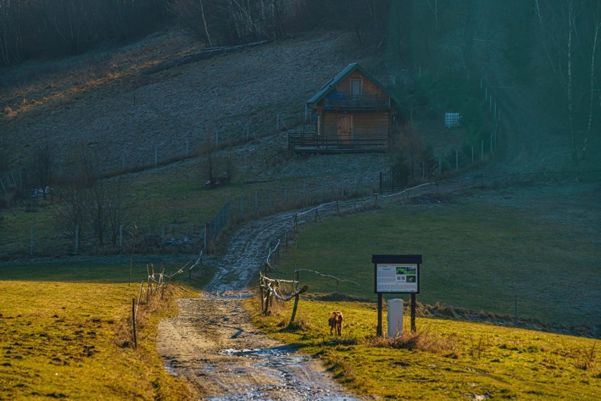 Piwniczna-Zdrój. Gmina stawia na rozwój turystyki. Będą nowe inwestycje na górze Kicarz