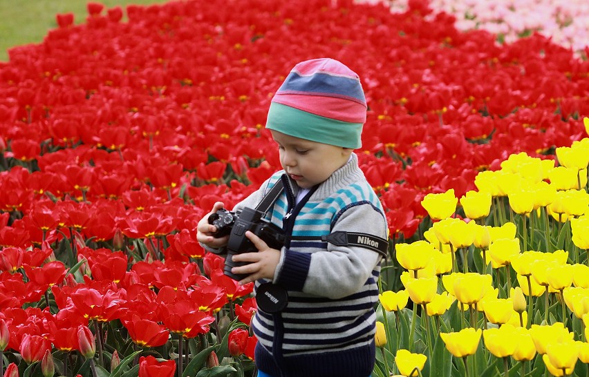 Niedziela Wielkanocna w Łodzi. Łodzianie zwiedzali Ogród Botaniczny [ZDJĘCIA+FILM]