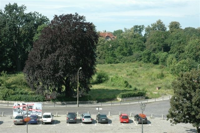 Na działce przy ul. Wrocławskiej wciąż rosną krzaki. Za to po drugiej stronie placu rośnie hotel. (fot. Jarosław Staśkiewicz)