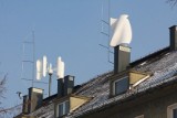 Na politechnice działa farma wiatraków na dachu