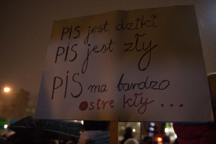 Protest przeciw odstrzałowi dzików pod Sejmem (9/01/2019)