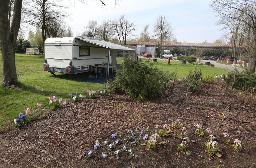 "To będzie Czarny Dzień". Jak można uratować camping w Dąbiu?