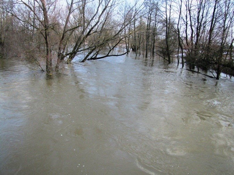 Wysoka woda na rzekach powiatu ostrowskiego