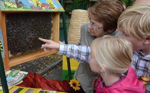 Święto pszczoły w łódzkim zoo.