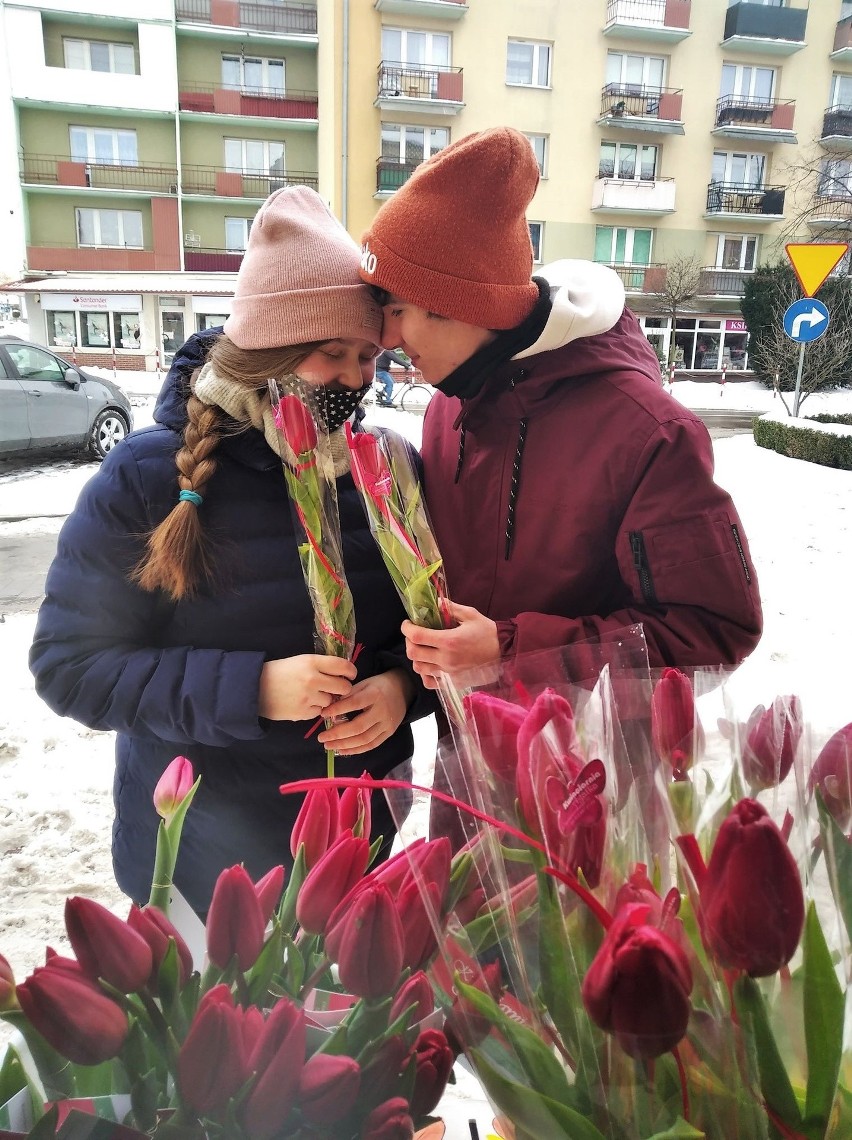 Walentynki dla zwierząt w Tarnobrzegu były bardzo udane. Kto wsparł akcję, otrzymał kwiaty (ZDJĘCIA)