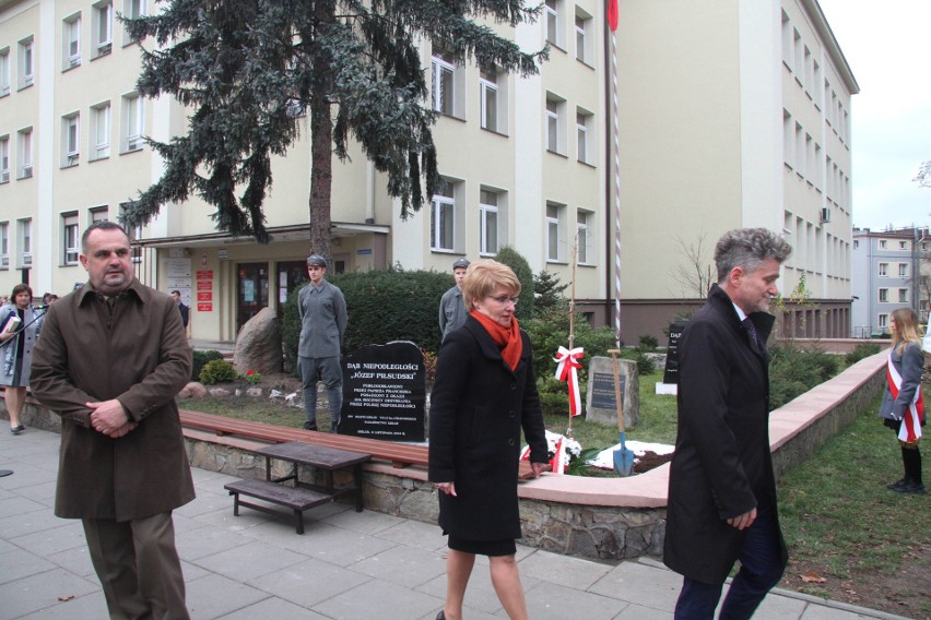 Dąb Niepodległości poświęcony przez papieża rośnie w Kielcach (WIDEO, zdjęcia)