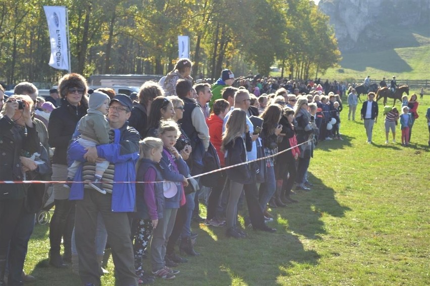 Hubertus 2014. Jeźdźcy z całego regionu opanowali zamkowe...