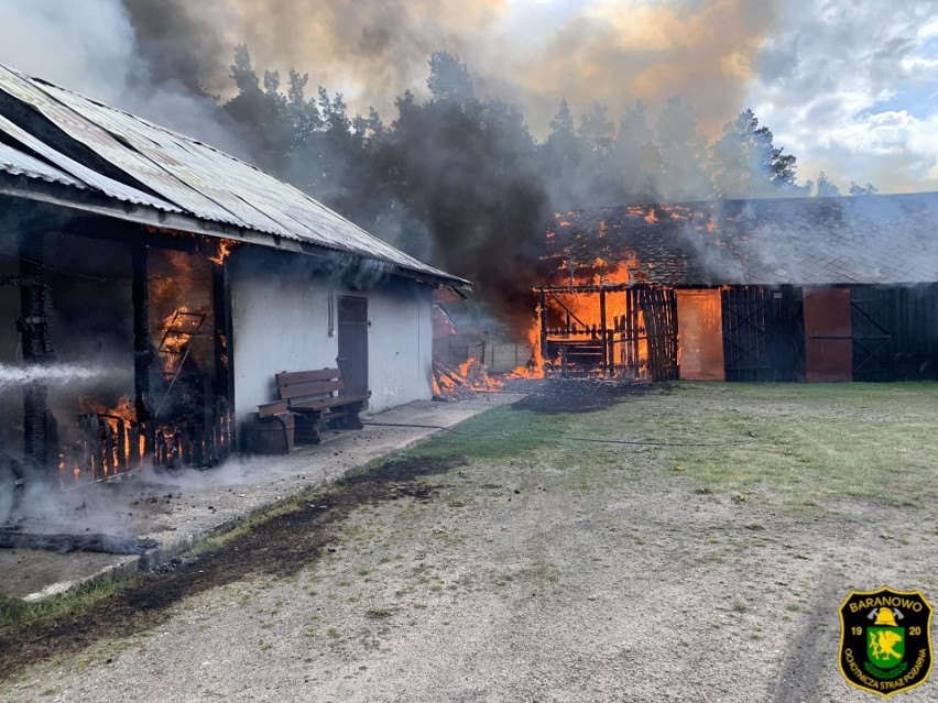 Pożar w gminie Baranowo. W miejscowości Orzoł paliły się zabudowania gospodarcze. 12.05.2022. Zdjęcia