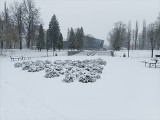 Ten park w Sosnowcu zachwyca w zimowej odsłonie. Aż chce się iść na spacer!