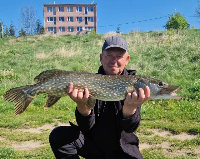 Marek Fąfara z największą rybą zawodów, szczupakiem mierzącym 87 centymetrów.