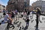 Prawie 70 proc. krakowian chce spędzić lato w kraju. Niektórzy w ogóle nie wyjadą z Krakowa