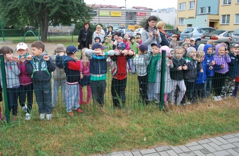 Wąglik w przedszkolu nr 17