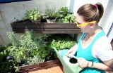 Jak urządzić ogródek warzywny na balkonie? Sprawdź, jak zacząć przygodę z uprawianiem warzyw 21.09.2023