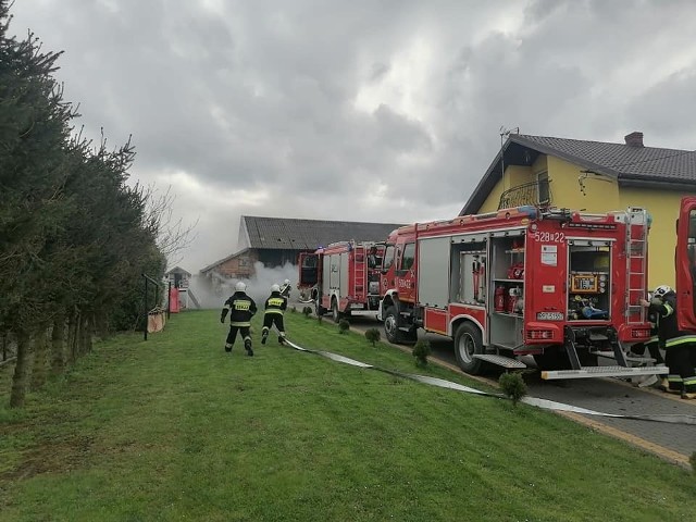 W niedzielę wybuchł pożar w miejscowości Pełnatycze w powiecie przeworskim. Palił się budynek gospodarczy. Pożar ugasili strażacy z PSP Przeworsk, OSP KSRG Zarzecze, OSP Rożniatów i OSP Pełnatycze. W zdarzeniu nikt nie został poszkodowany.