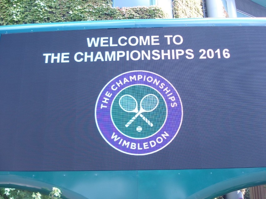 Wimbledon 2016: Dwie Polki do domu, Radwańska zaczyna we wtorek [ZDJĘCIA]