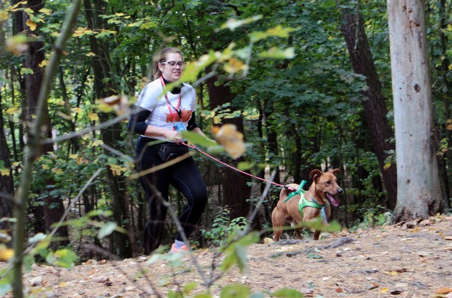 Kilkadziesiąt osób pobiegło w niedzielę ze swoimi pupilami oraz psami ze schroniska w "Biegu na 4+2 Łapy" na dystansie 7 km. Dochód z wpisowego wesprze Fundację Siedem Życzeń zajmującą się zwierzętami w grudziądzkim schronisku.