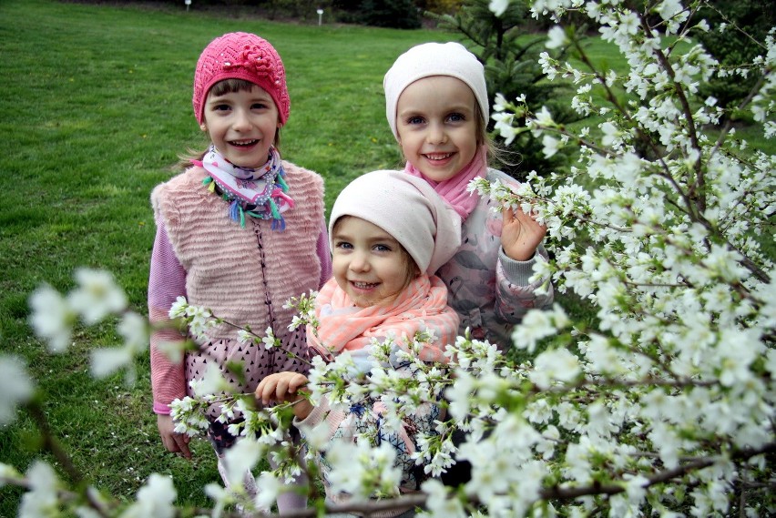 Ogród Botaniczny UMCS w Lublinie już otwarty (ZDJĘCIA)