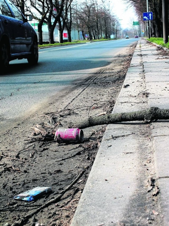 Na ul. Parkowej leży piach, walają się śmieci i gałęzie.