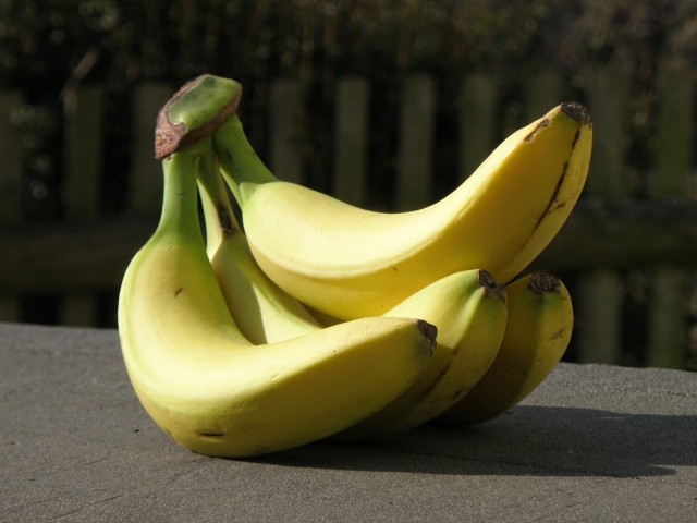Skórki bananów można wykorzystać jako nawóz - w szczególności do roślin kwitnących i pomidorów. Można go też stosować do roślin doniczkowych.