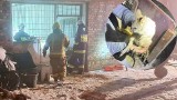 Strażacy ochotnicy uratowali… małe kangury w Lubuskiem. Z płonącej stodoły w Murzynowie druhowie wyciągnęli pięć maleńkich futrzaków