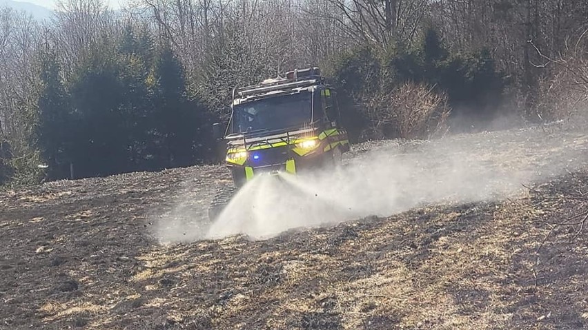 Strażacy z OSP Łososina Górna brali udział w gaszeniu pożaru...
