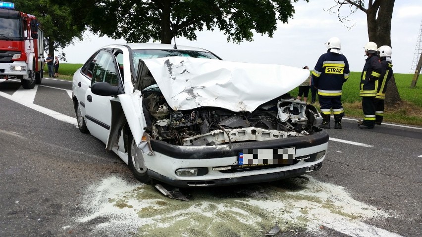 Krajowa 94 ciągnąca się od zachodniej granicy województwa...