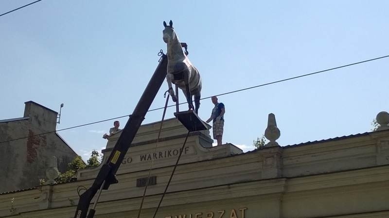 Koń wrócił na dach lecznicy przy ul. Kopernika [zdjęcia]