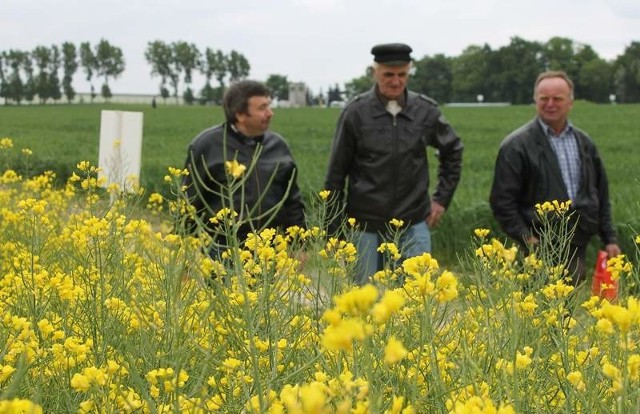 - Z rzepakiem jest jak z totolotkiem, ale tu można więcej stracić - komentowali rolnicy z Olesna i sąsiedniego Łowoszowa: Jan Kansy, Bernard Florczyk i Jan Janik, którzy zwiedzali pola doświadczalne OODR.