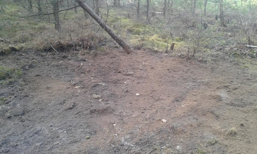 W lesie w okolicach Chojnic odnaleziono dzikie wysypisko -...