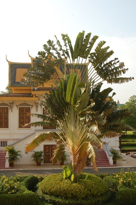 Palac Królewski w Phnom Penh stolicy Kambodzy