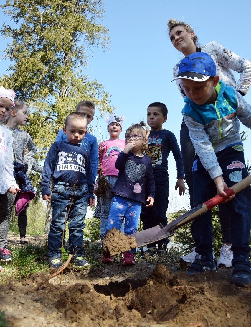 Akcja "Jedno drzewo, jedno dziecko" w Wałdowie