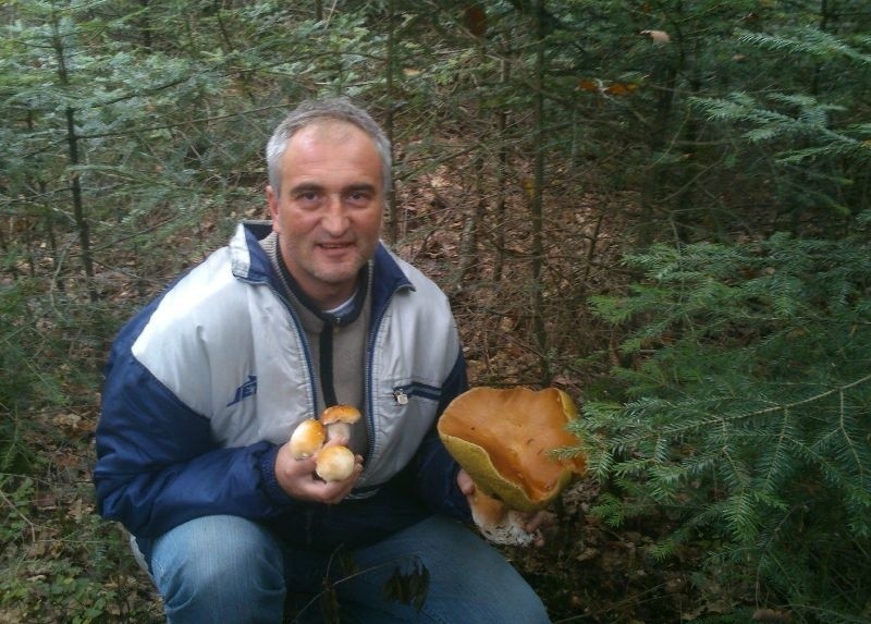 Takie okazy znalazł Pan Adam w lesie w Kielcach.