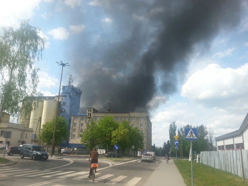 Wielki pożar w Pabianicach. Palił się magazyn części samochodowych [FILM, zdjęcia]