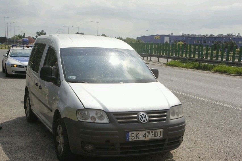 Pies biegał po autostradzie A4 pod Wrocławiem. Policjanci próbowali go złapać (ZDJĘCIA)