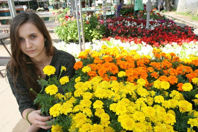 W czasie wakacji Kamila Sikorska sprzedaje kwiatki na maślanym rynku w Nowym Sączu