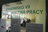 Dla nich jest praca w Katowicach! Oto zarobki. Dane z czerwca 2020. Wbrew kryzysowi niektóre firmy zatrudniają pracowników. Sprawdź