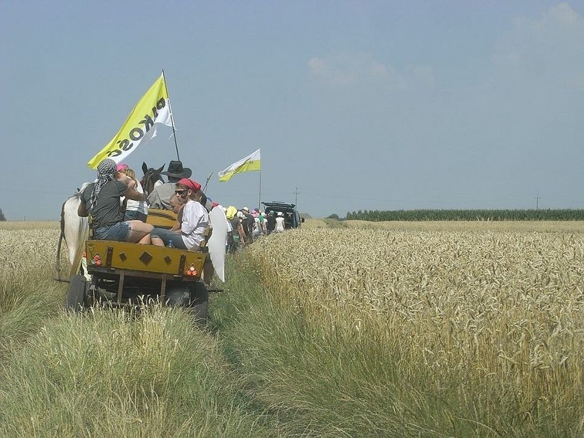 Projekt "Siedem Aniołów" w gminie Pakość...