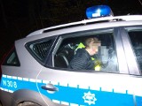 Pijany kierowca volkswagena potrącił psa. Próbował uciekać 