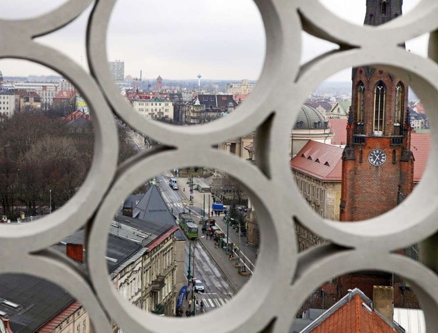 Widok z tarasu w Okrąglaku