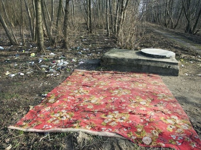 Takich widoków w Lasku Południowym w Słupsku jest mnóstwo.