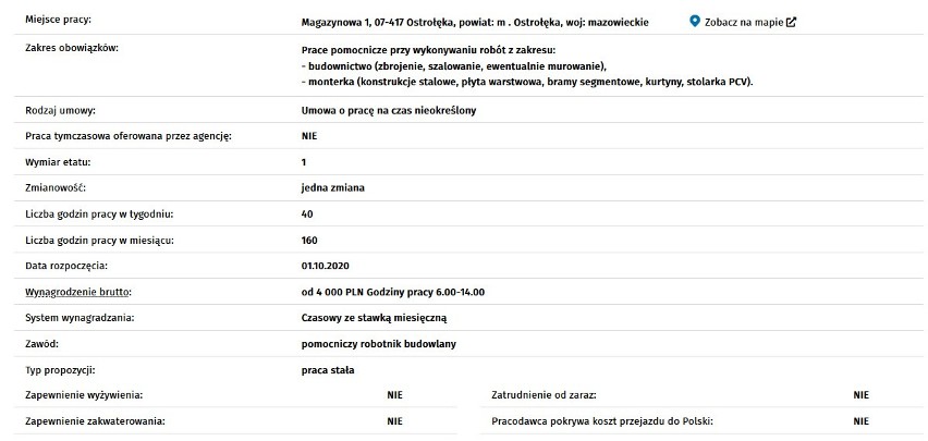 Praca w Ostrołęce, Makowie i Ostrowi Maz. i okolicach. Nowe oferty od 3 tys. zł brutto [listopad 2020]