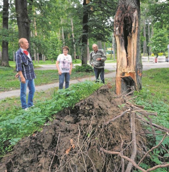 Mieszkańcy ul. Ogrodowej nie mogą zrozumieć, dlaczego miasto przez lata, w oczekiwaniu na Sądecką Wenecję, zaniedbuje park