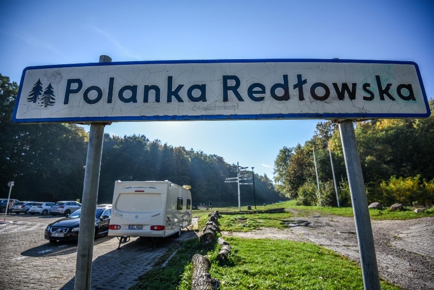 Gdyńscy urzędnicy spotkają się z mieszkańcami w sprawie Polanki Redłowskiej. Kolejna publiczna dyskusja już w tym tygodniu