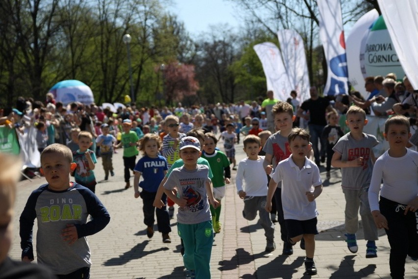 Bieg Skrzata w Parku Hallera zgromadził setki uczestników