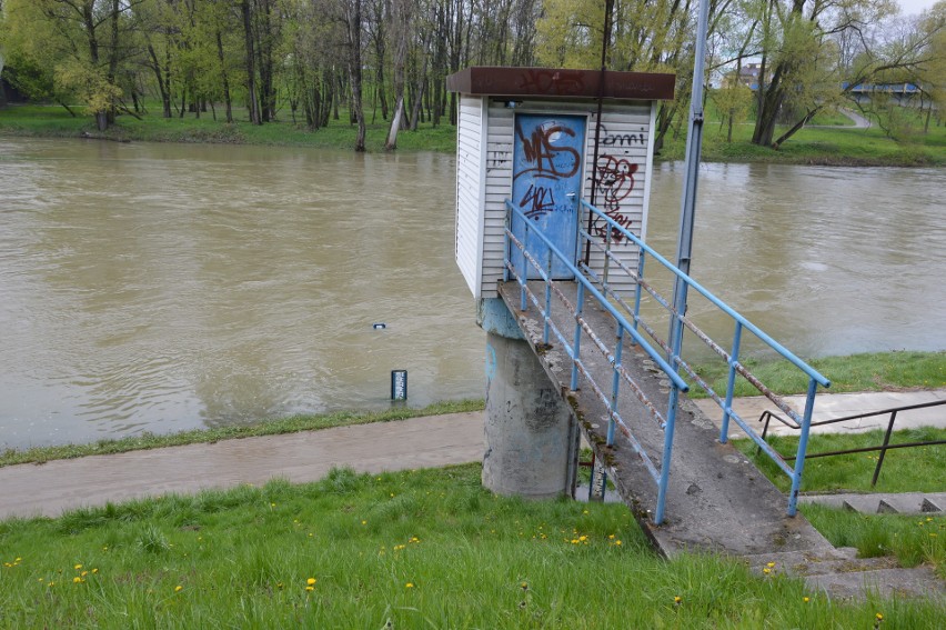 Oświęcim. Woda w Sole opada