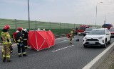 Wypadek na drodze S8 w Kierznie - samochód potrącił rowerzystę, który poniósł śmierć na miejscu
