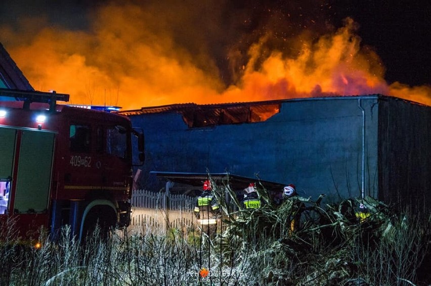 W wyniku pożaru w Szamocinie spaleniu uległy dwie hale i...