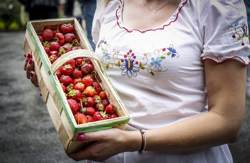 Polskie truskawki są sprzedawane w charakterystycznych...