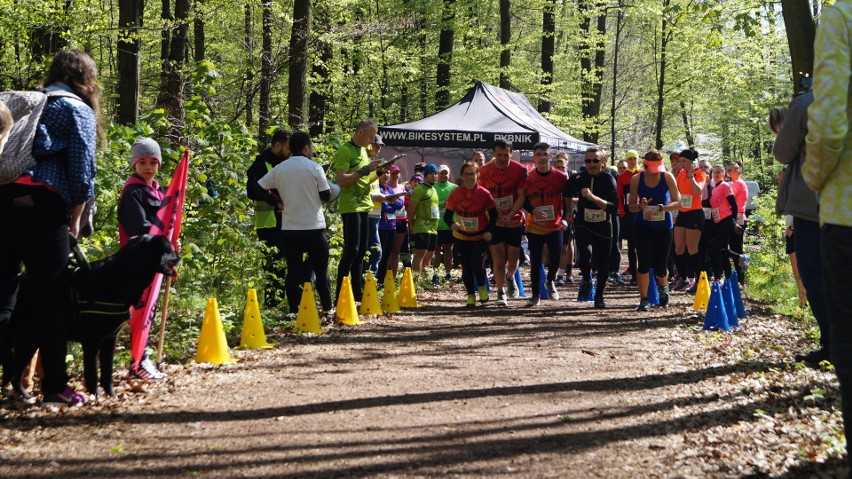 Tłumy biegaczy w lesie Kyndra w Jastrzębiu